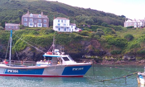 Fishing boats in the harbour