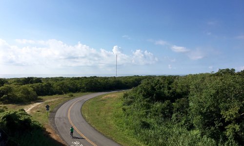 Bird Sanctuary on last block in Crest