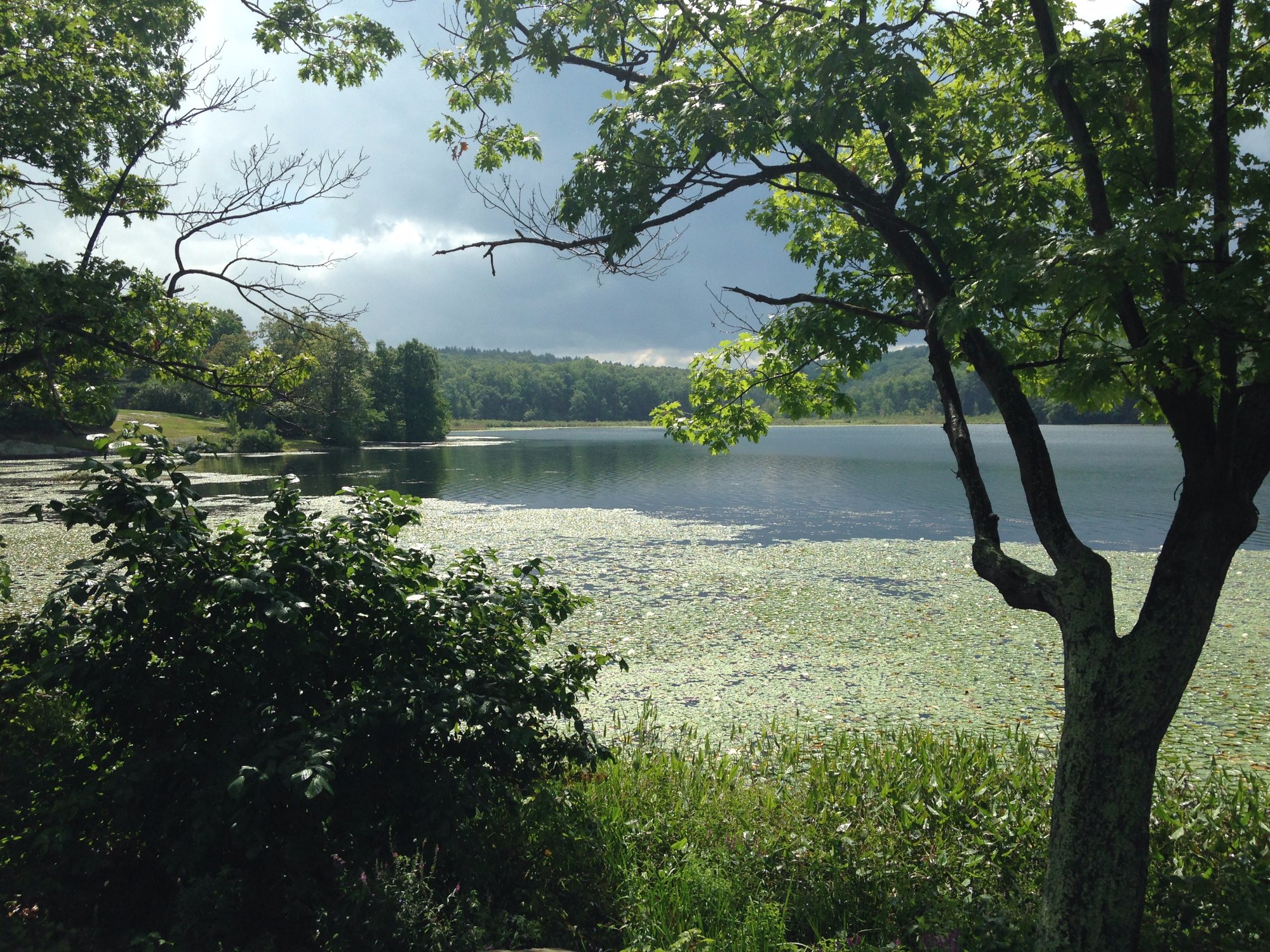 Lake Taghkanic State Park - Ancram - Lake Taghkanic State Park ...