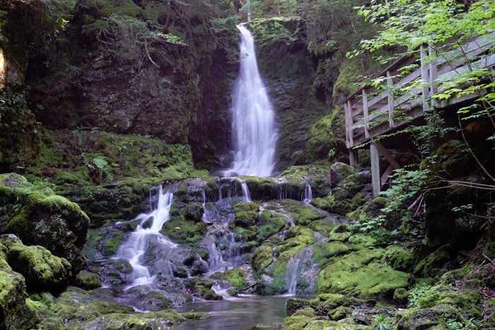 Dickson Falls Trail