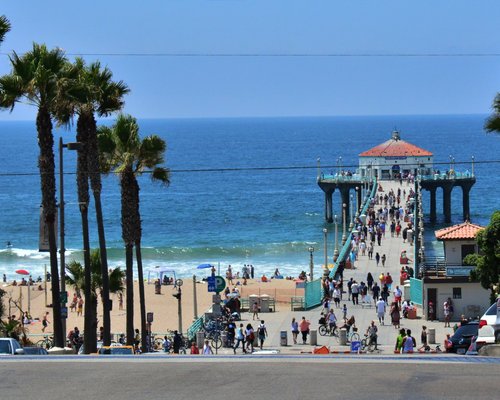 are dogs allowed on manhattan beach ca