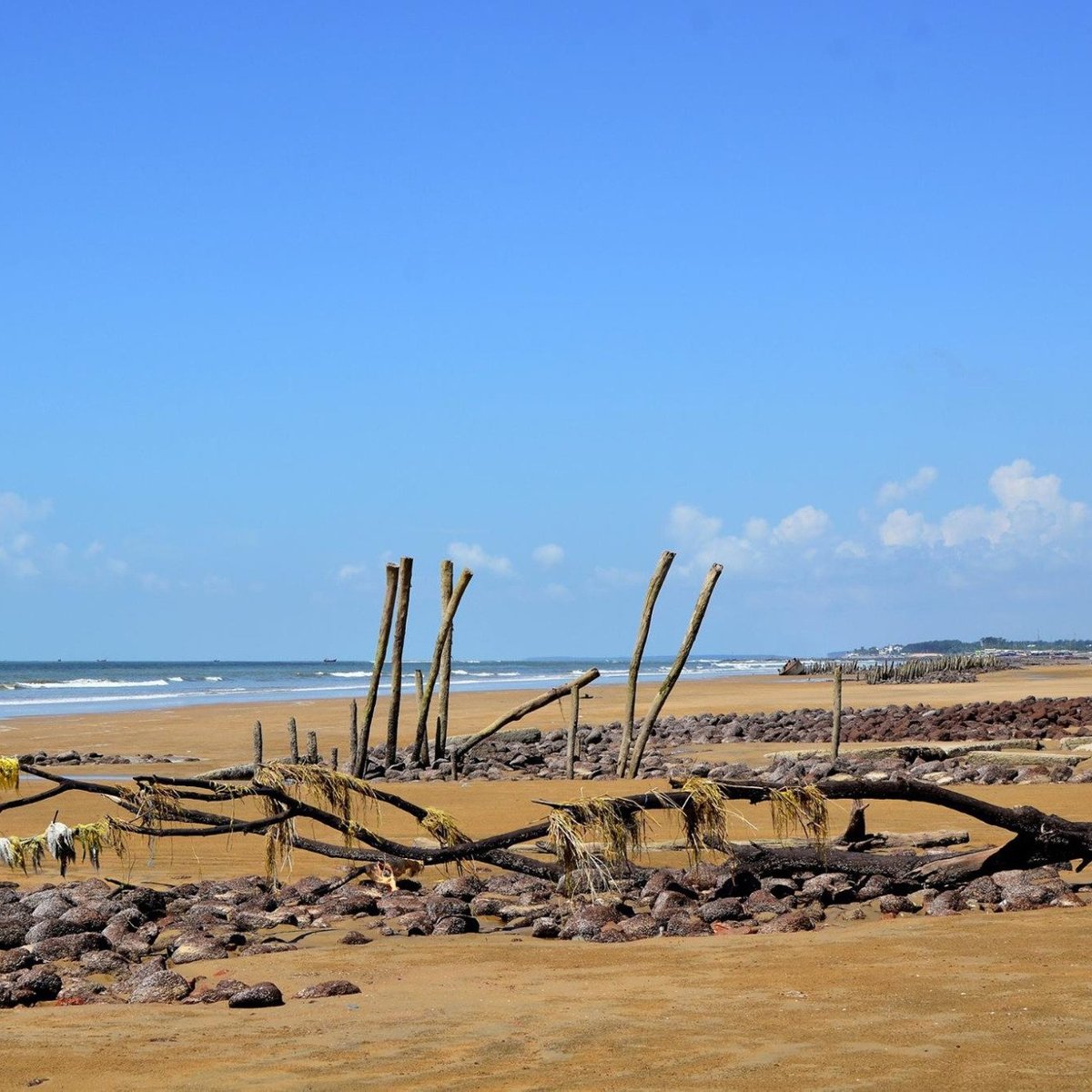 Shankarpur Beach (Digha, Indien) - omdömen - Tripadvisor