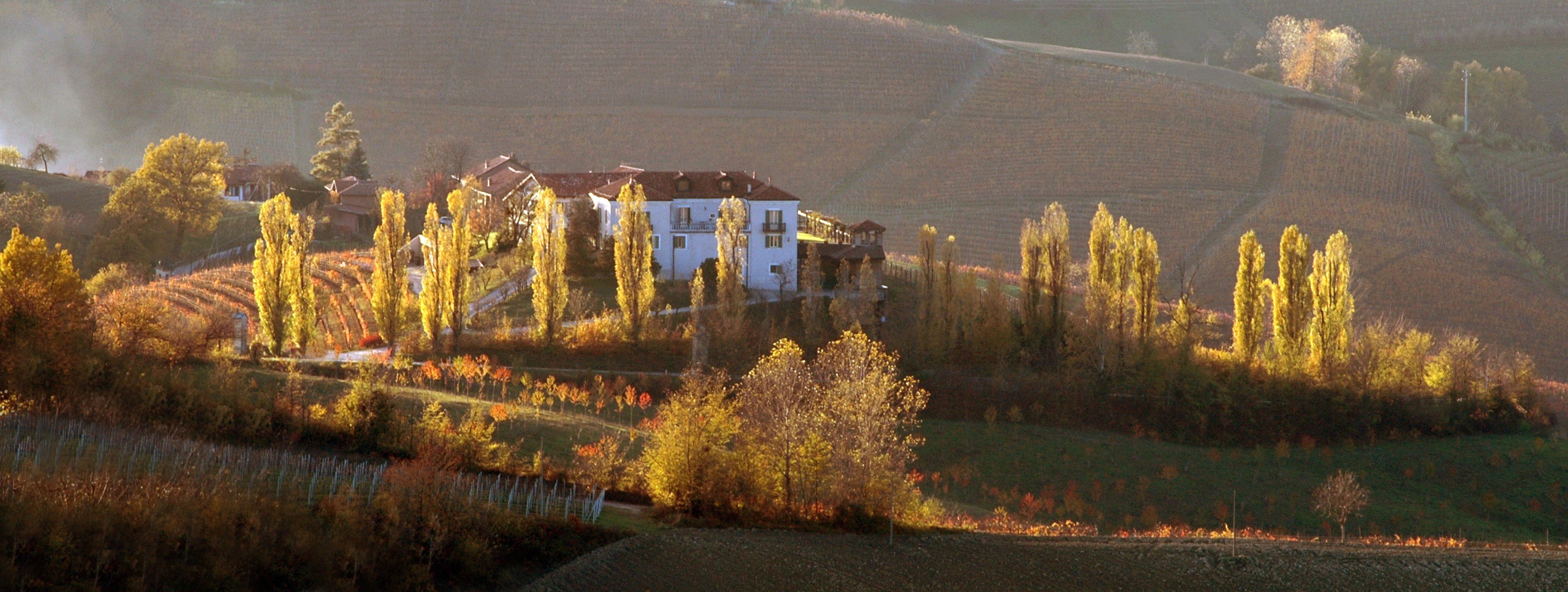 PODERI LUIGI EINAUDI AZ. AGRICOLA SRL - Prices & Villa Reviews