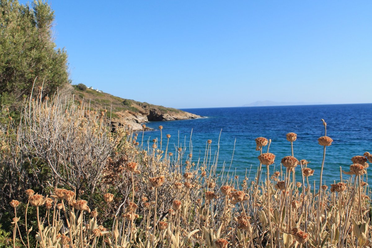 AGIOS KYPRIANOS BEACH (Andros) - All You Need to Know BEFORE You Go