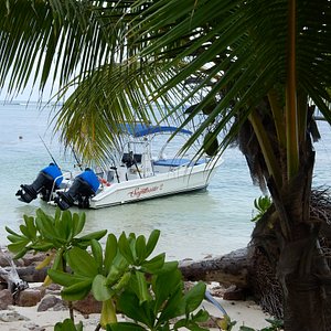 seychelles tourism season