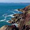Things To Do in Pembrokeshire Bike Hire, Restaurants in Pembrokeshire Bike Hire