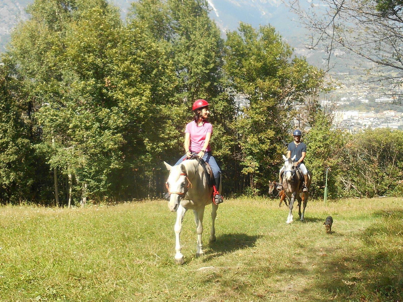 イタリアの乗馬ツアー: イタリアの 10 件の乗馬ツアーをチェックする