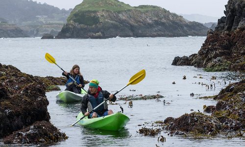 Paddle your own... sea kayak!