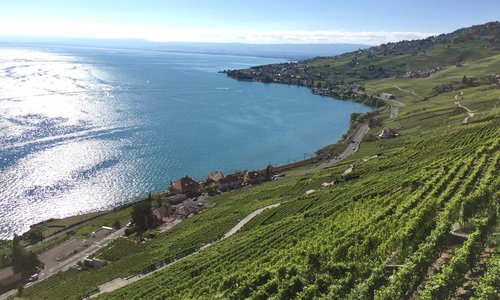 Chexbres 2021: Best of Chexbres, Switzerland Tourism - Tripadvisor