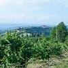 Things To Do in Azienda Agricola noccioladellelanghe.it, Restaurants in Azienda Agricola noccioladellelanghe.it
