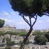 Massimo D