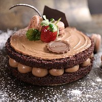Chocolate Curd
