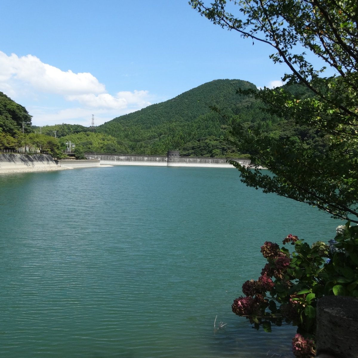 Kawachi Reservoir (Kitakyushu) 2022 Lohnt es sich? (Mit fotos)