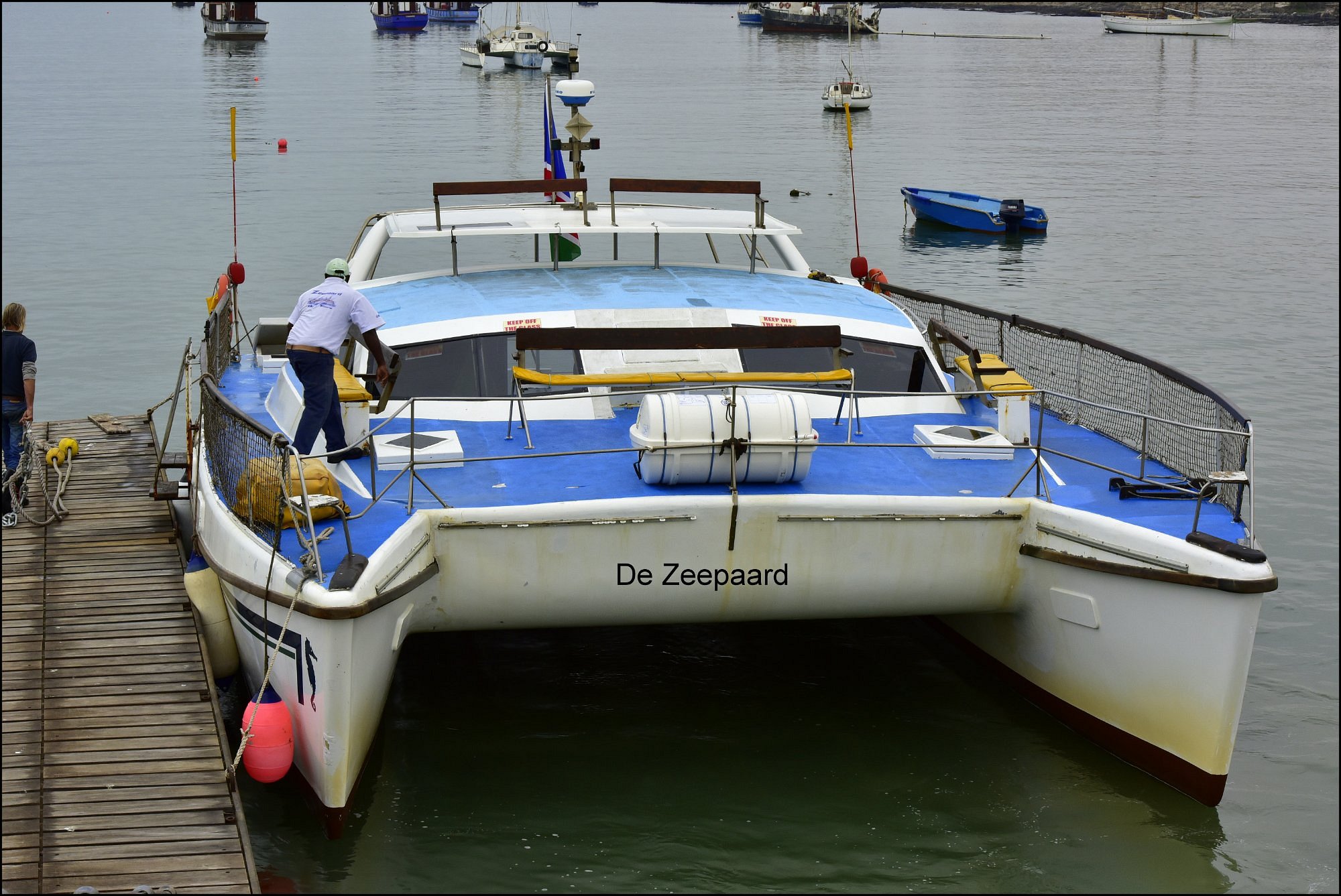 zeepaard boat tours luderitz