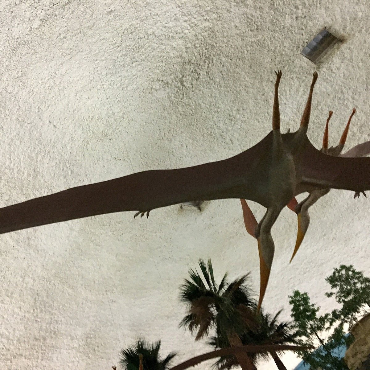 Rocks and Their Types - Sternberg Museum of Natureal History