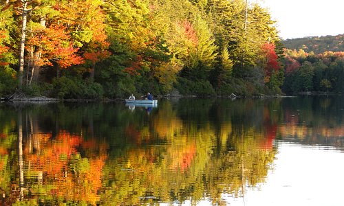 Fall Rowboat on Lake
