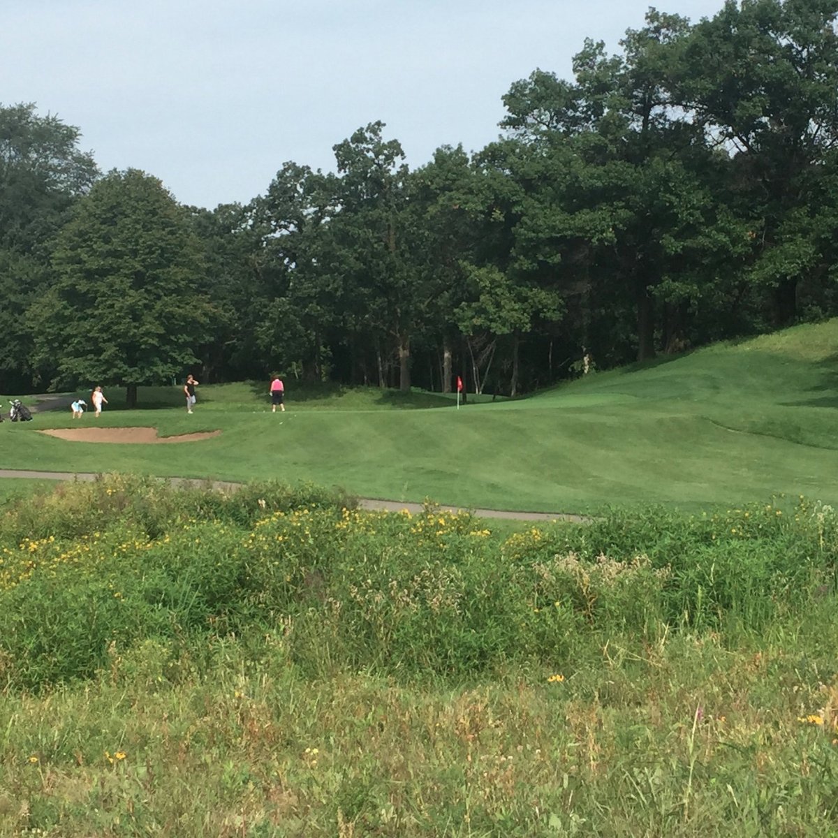 BRAEMAR GOLF COURSE (Edina) Ce qu'il faut savoir