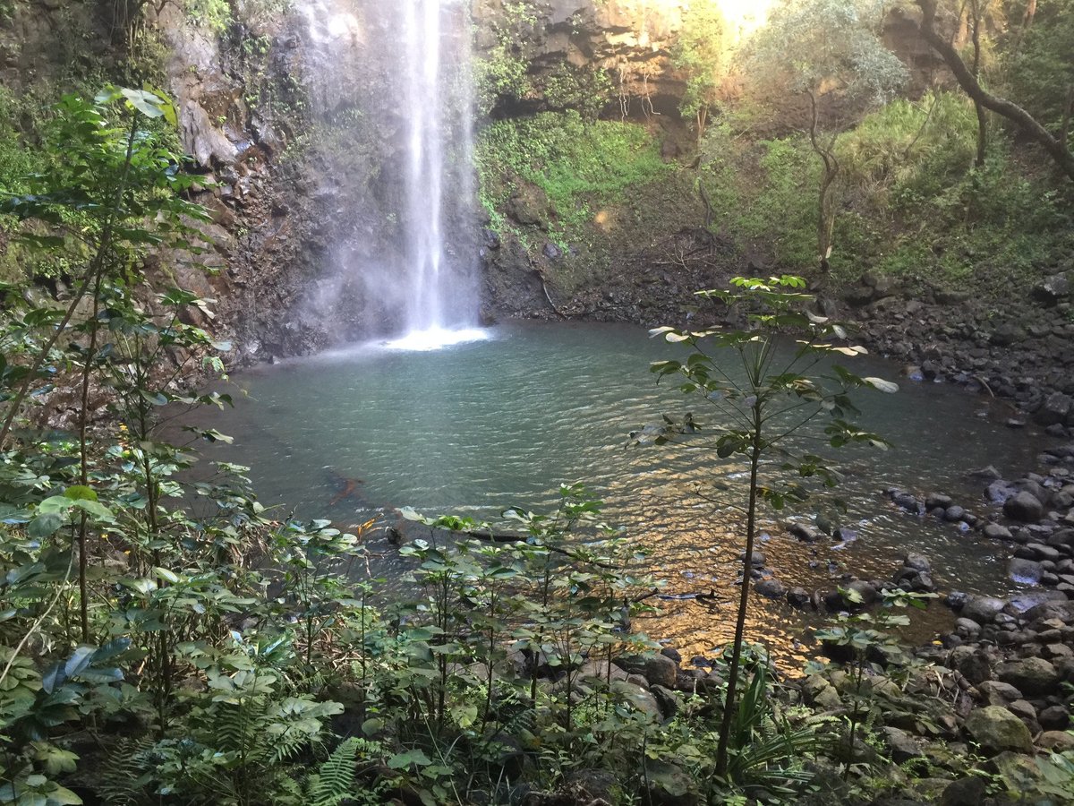 Waterfalls Worth Hiking For