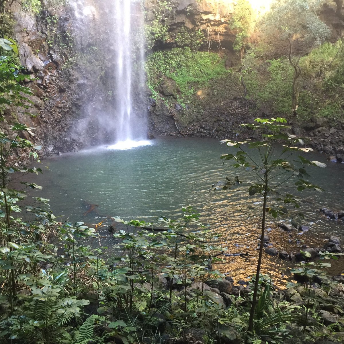 Secret Falls Trail (Wailua) - 2022 Alles wat u moet weten VOORDAT je