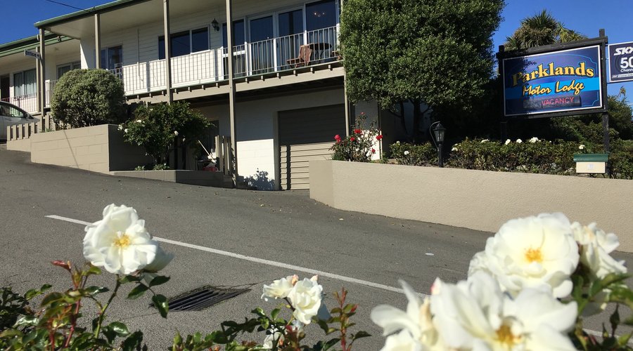 Homely & Comfortable Place to stay