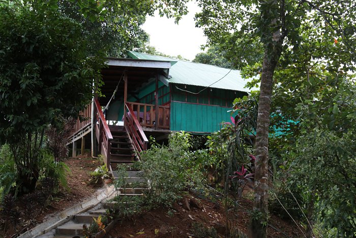 VISTA DRAKE LODGE, COSTA RICA/OSA PENINSULA: 228 fotos, comparação