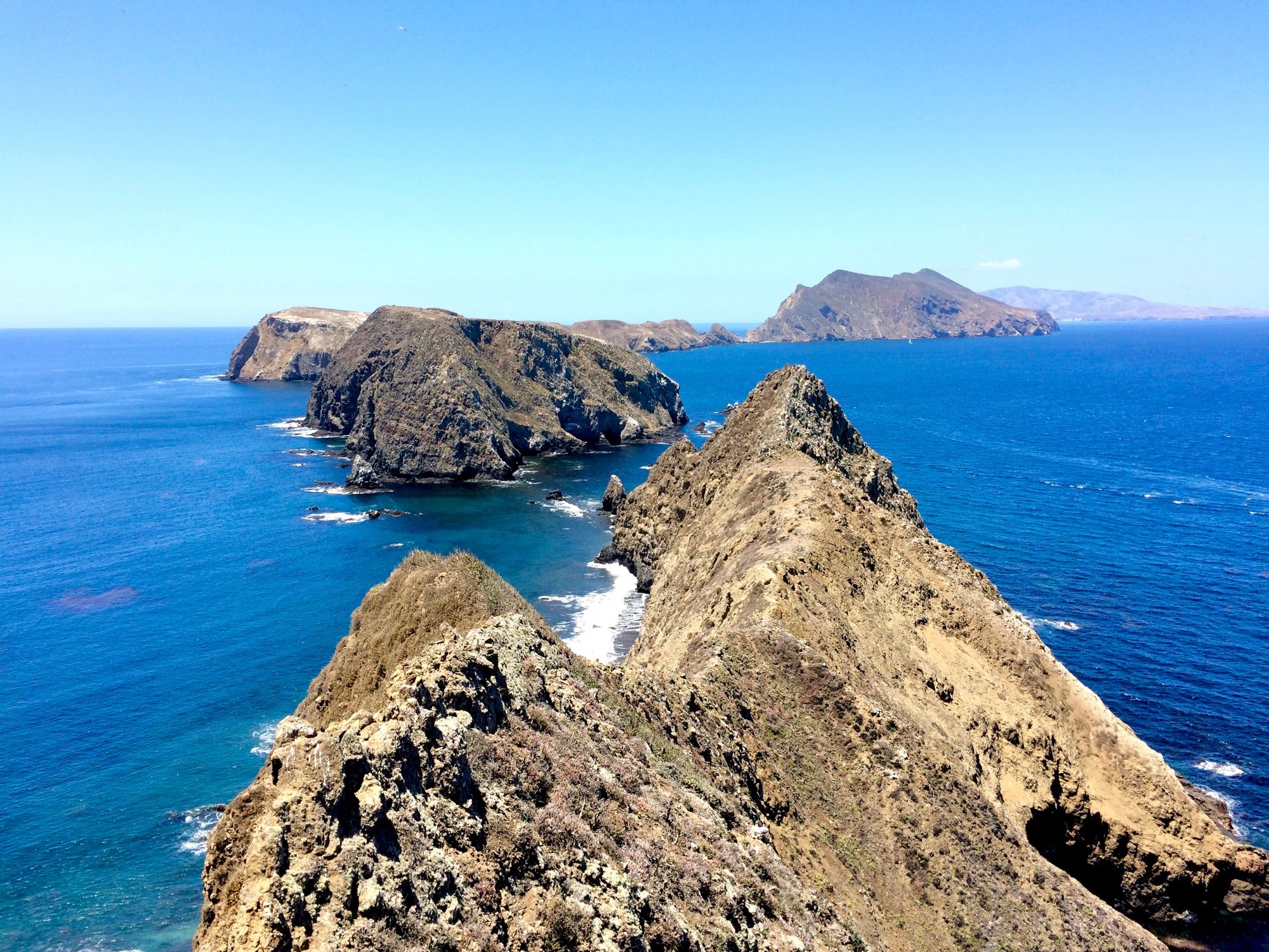 channel islands anacapa