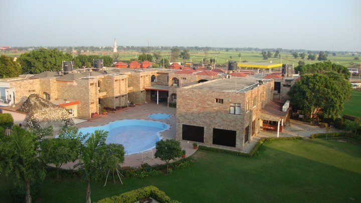 The Birds Eye View