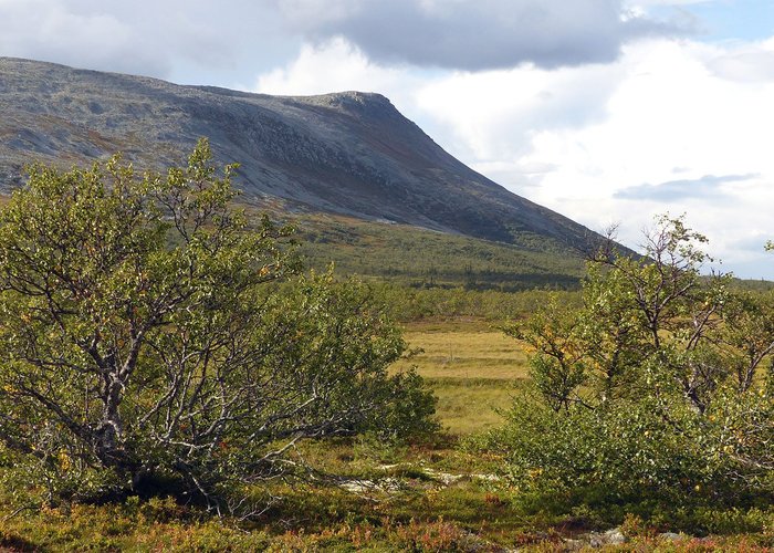 Härjedalen 2024: Best Places to Visit - Tripadvisor