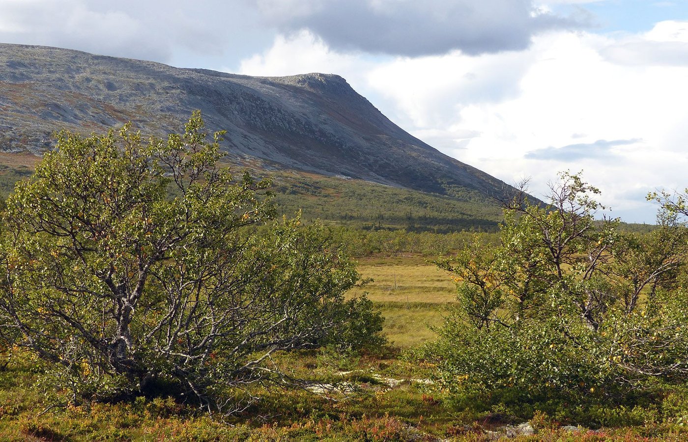 Härjedalen 2023: Best Places To Visit - Tripadvisor