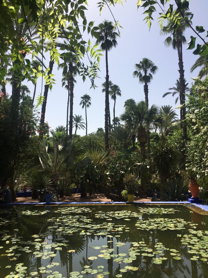 Imagen 2 de Riad Majorelle