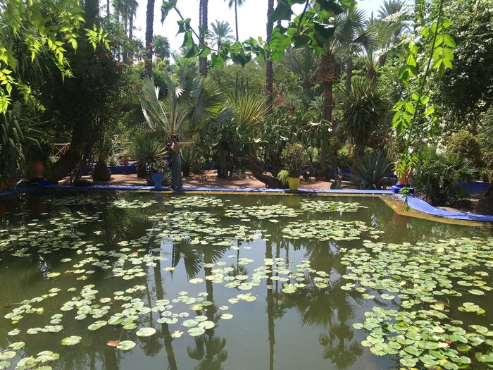 Imagen 1 de Riad Majorelle