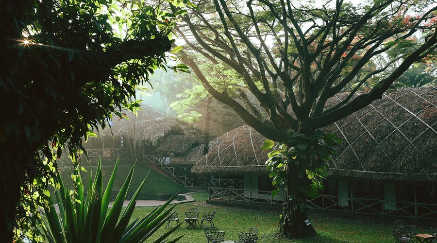 Set in the Periyar wilderness, Spice Village, modeled after the dwellings of the local tribal in