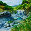 Things To Do in Etna excursion and Alcantara Gorges, Restaurants in Etna excursion and Alcantara Gorges