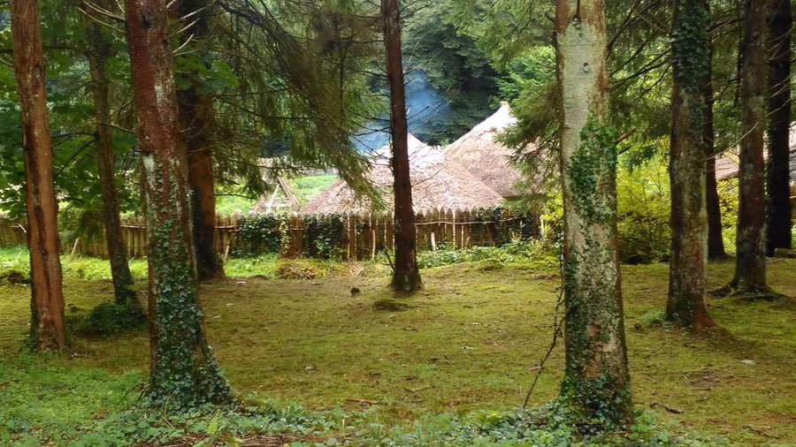 Ring fort