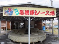 22年 風間浦村活イカ備蓄センター 行く前に 見どころをチェック トリップアドバイザー 22年 風間浦村活イカ備蓄センター 行く前に 見どころをチェック トリップアドバイザー