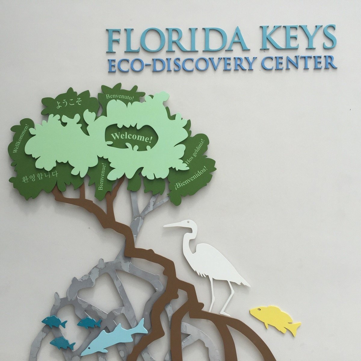 Эко ключ. Florida Keys Eco-Discovery Center.