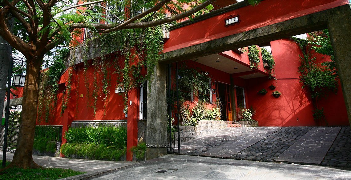 Árbol de Fuego Eco-Hotel, hotel en San Salvador