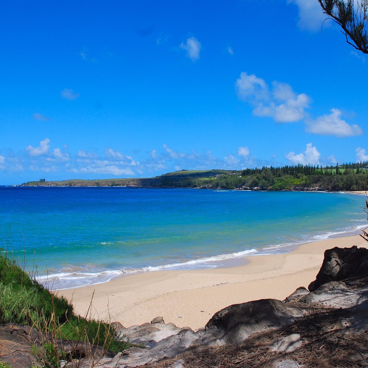 D.T. FLEMING BEACH PARK (Kapalua): All You Need to Know 