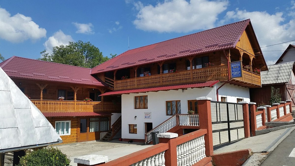 PENSIUNEA BONTOS (Budesti) - отзывы, фото и сравнение цен - Tripadvisor