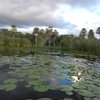 What to do and see in Ibera Wetlands, Litoral: The Best Tours