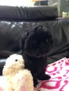 bettyboo2