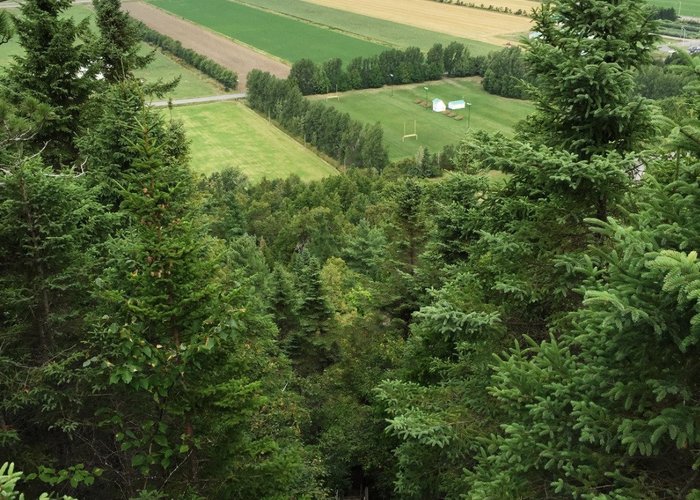 Escalier de la Trinité. Vue descendante et Panorama sur le Fleuve et la vallée.