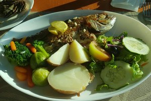 Comida