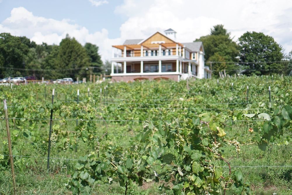 THE 15 BEST Things To Do In Connecticut 2024 With Photos Tripadvisor   The Vineyards 