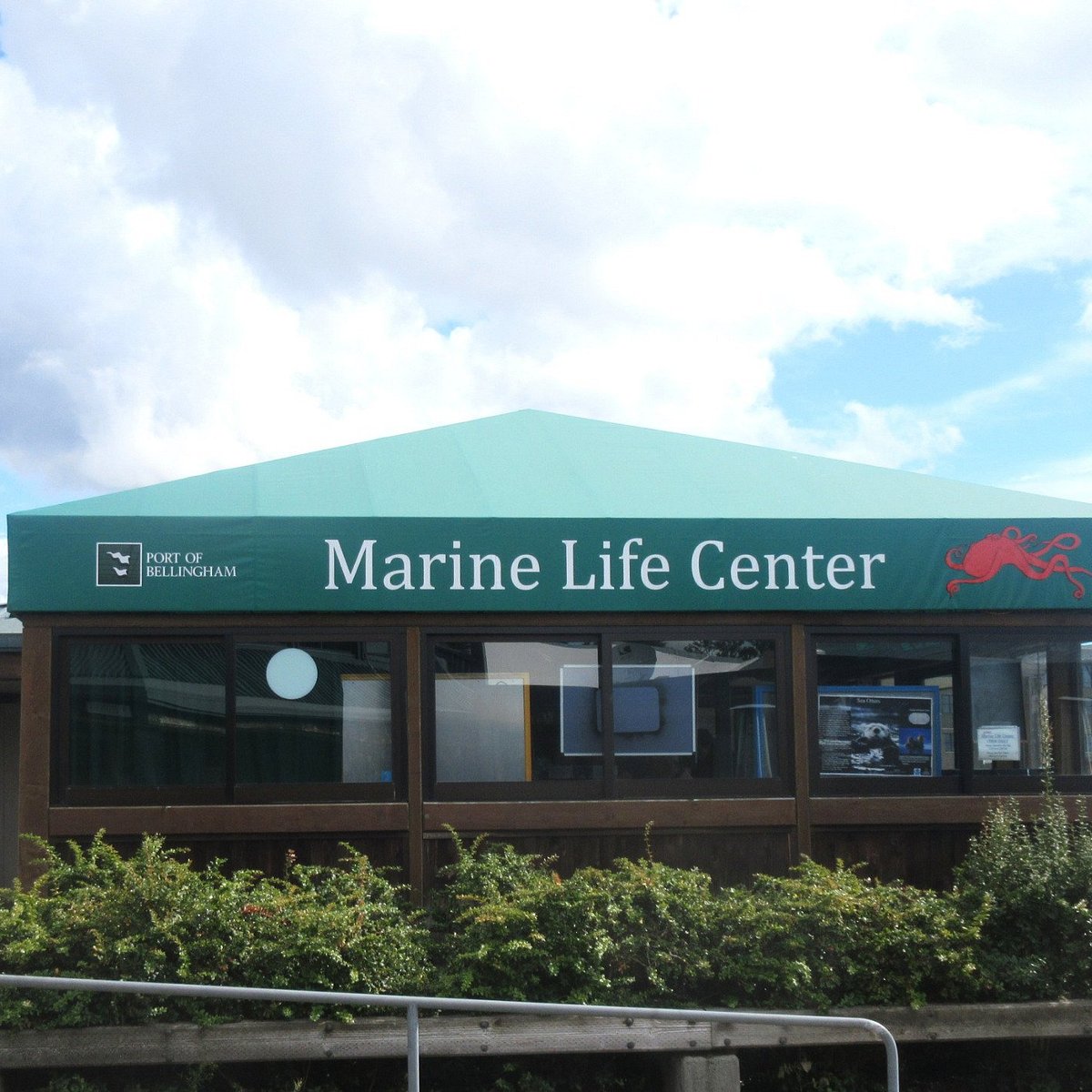 MARINE LIFE CENTER (Bellingham) Ce qu'il faut savoir