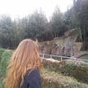 Elisa