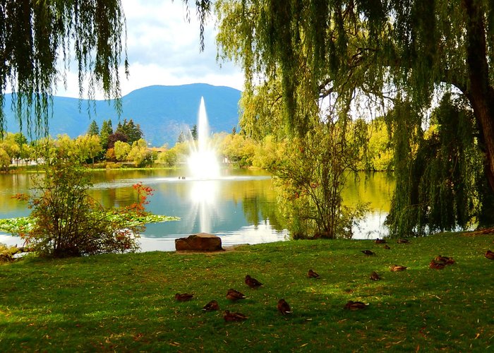 fountain