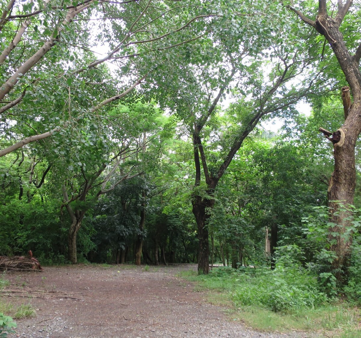 Dushi Shenlin Bathing Spot - All You Need to Know BEFORE You Go (2024)