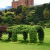 Things To Do in Powis Castle, Restaurants in Powis Castle