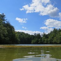 W. Kerr Scott Reservoir (Wilkesboro) - All You Need to Know BEFORE You Go